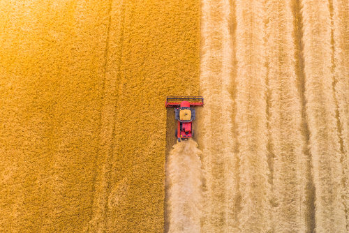 Aerial view of a tractor with an auto steering kit harvesting a golden field, showcasing uniform field work and precision farming techniques.